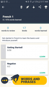 Learn Languages with Memrise