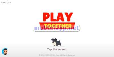 ماهي لعبة Play Together؟
