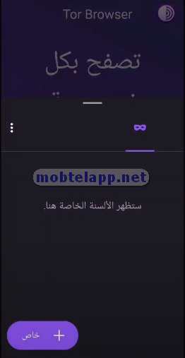  Tor Browser Screenshot 06